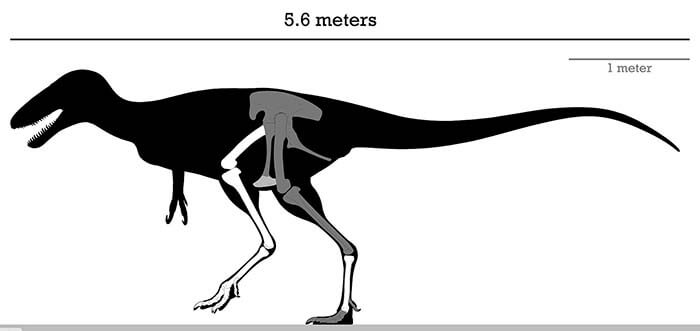 Алектрозавр